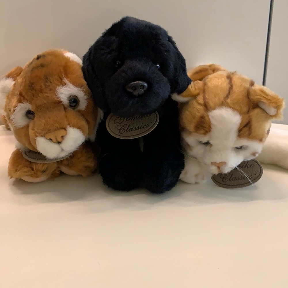 Stuffed animal collection